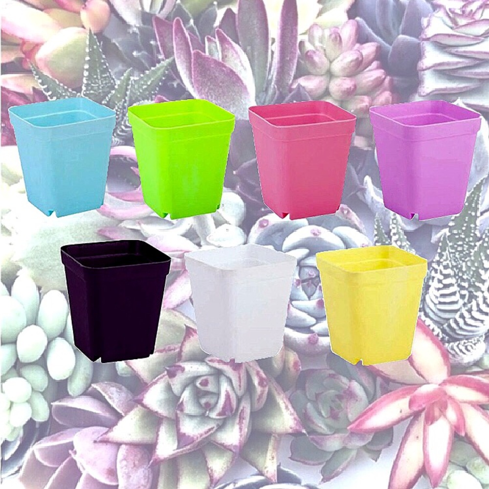 ★NEW★ 7 PACK Mini Planters Succulent Cactus Flower - Picture 4 of 16